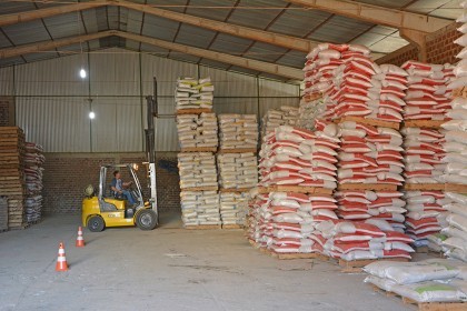 Colaboradores participam de treinamento sobre NR 11