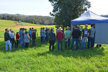 Cotrifred é parceira em Dias de Campo da Emater sobre Bovinocultura do Leite
