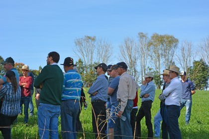 Cotrifred é parceira em Dias de Campo da Emater sobre Bovinocultura do Leite