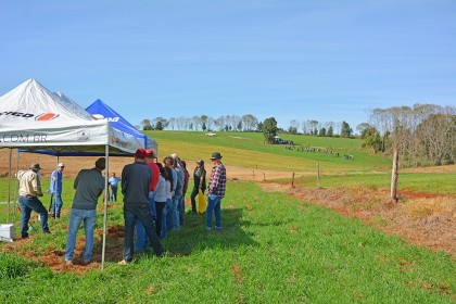 Cotrifred é parceira em Dias de Campo da Emater sobre Bovinocultura do Leite