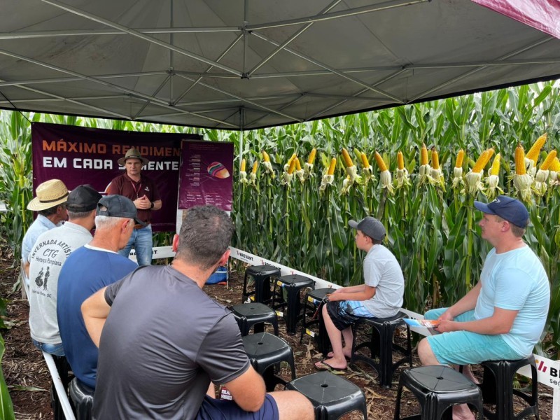 Cotrifred encerra calendário 2025 de Dias de Campo de Milho em Pinheirinho do Vale
