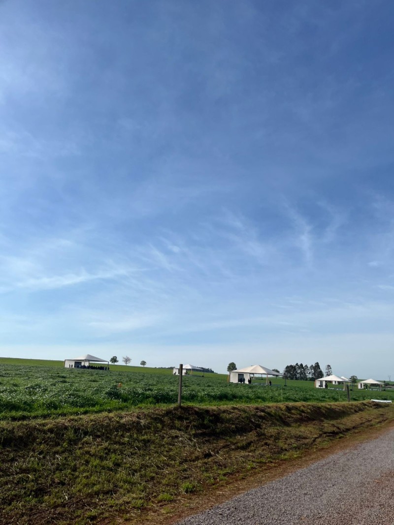 Cotrifred participa da 15ª edição do Dia de Campo do Leite, promovido pela CCGL