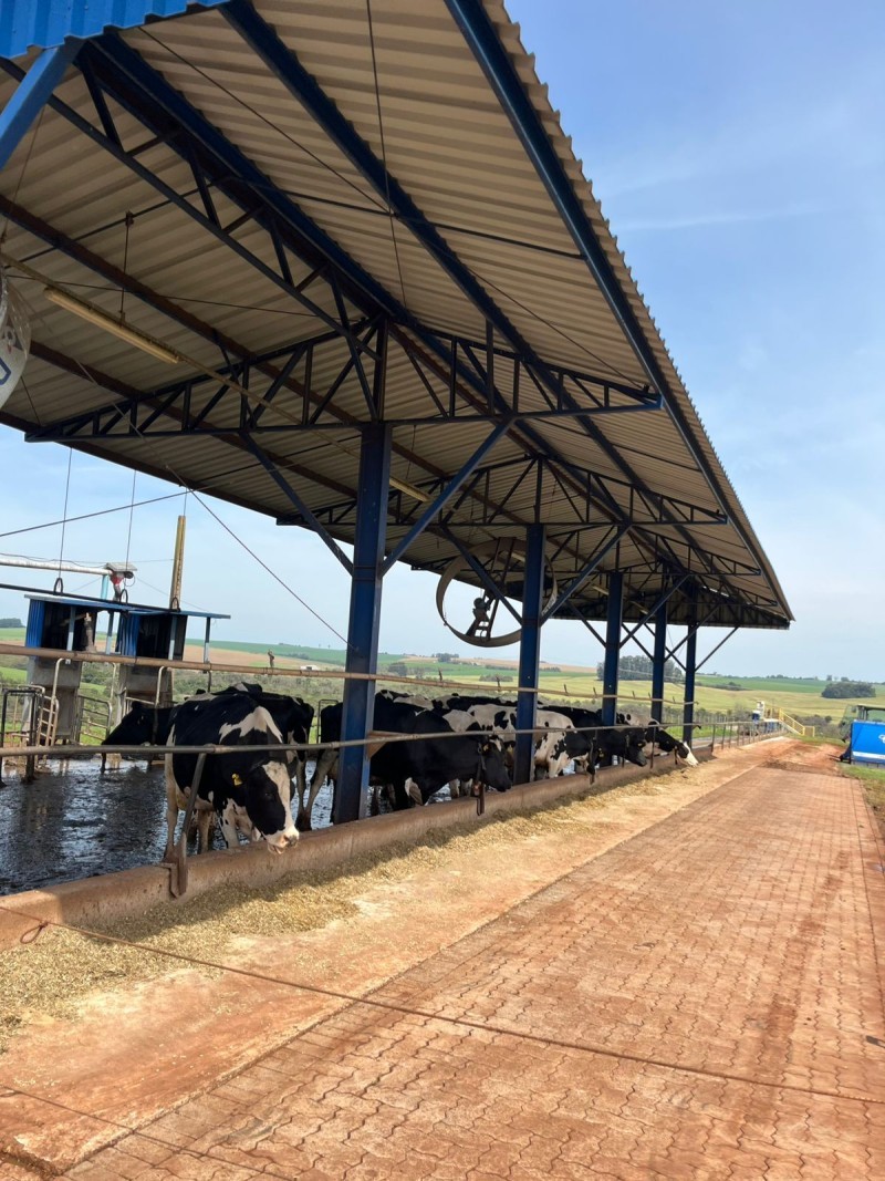 Cotrifred participa da 15ª edição do Dia de Campo do Leite, promovido pela CCGL