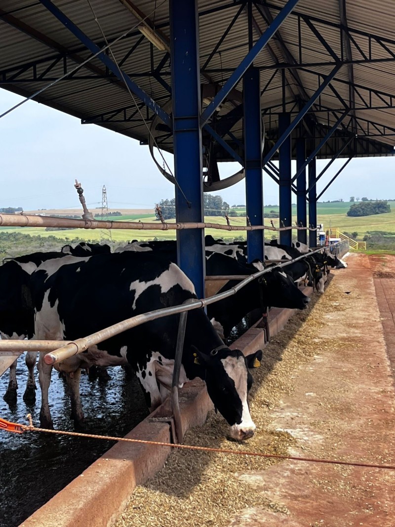 Cotrifred participa da 15ª edição do Dia de Campo do Leite, promovido pela CCGL