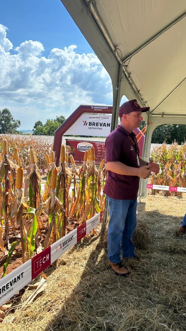 Cotrifred participa da Brevant Tech, dia de campo com foco em tecnologia e híbridos em Seberi