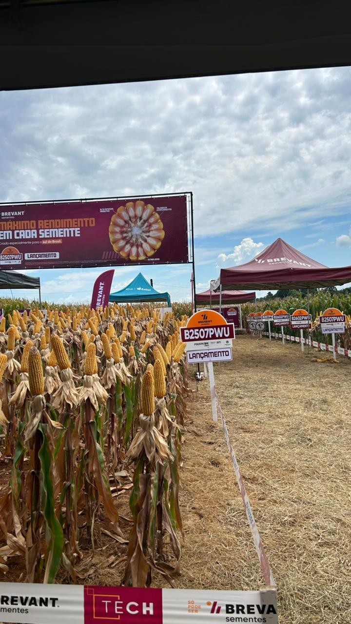 Cotrifred participa da Brevant Tech, dia de campo com foco em tecnologia e híbridos em Seberi