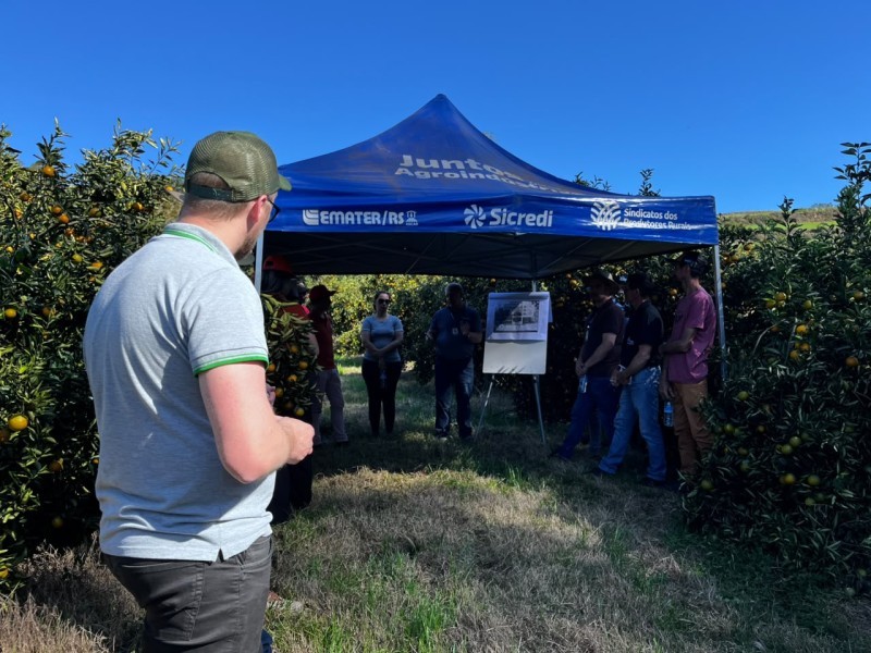 Cotrifred participa de Dia de Campo sobre Fruticultura em Iraí