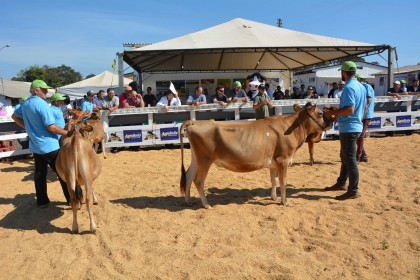Cotrifred participa de Expofred 2018
