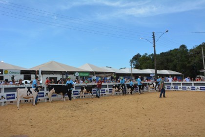 Cotrifred participa de Expofred 2018