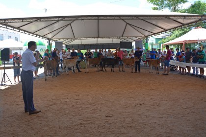 Cotrifred participa de IV Feira da Terneira e V Mostra da Agricultura Familiar em Iraí