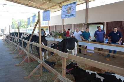 Cotrifred participa de IV Feira da Terneira e V Mostra da Agricultura Familiar em Iraí