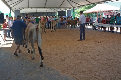 Cotrifred participa de IV Feira da Terneira e V Mostra da Agricultura Familiar em Iraí