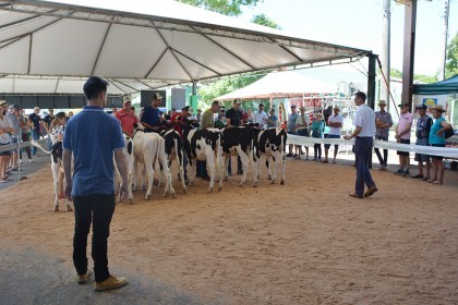 Cotrifred participa de IV Feira da Terneira e V Mostra da Agricultura Familiar em Iraí