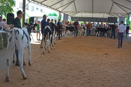 Cotrifred participa de IV Feira da Terneira e V Mostra da Agricultura Familiar em Iraí