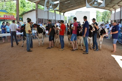Cotrifred participa de IV Feira da Terneira e V Mostra da Agricultura Familiar em Iraí