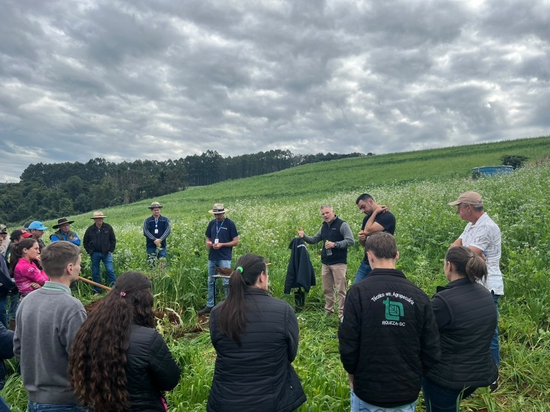 Cotrifred participa de tarde de campo sobre culturas de cobertura e conservação do solo