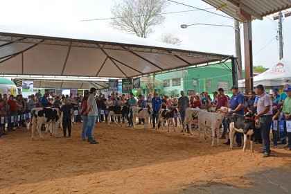 Cotrifred participa de V Feira da Terneira e VI Mostra da Agricultura Familiar em Iraí