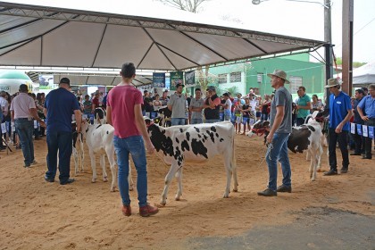 Cotrifred participa de V Feira da Terneira e VI Mostra da Agricultura Familiar em Iraí