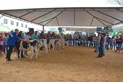 Cotrifred participa de V Feira da Terneira e VI Mostra da Agricultura Familiar em Iraí