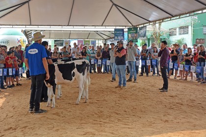 Cotrifred participa de V Feira da Terneira e VI Mostra da Agricultura Familiar em Iraí