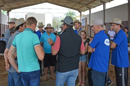 Cotrifred participa de V Feira da Terneira e VI Mostra da Agricultura Familiar em Iraí