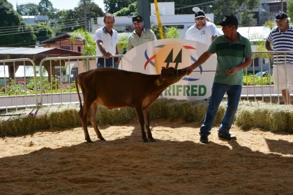 COTRIFRED participa de XI Feira do Peixe em Taquaruçu do Sul