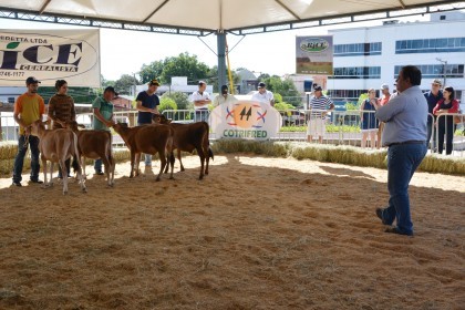 COTRIFRED participa de XI Feira do Peixe em Taquaruçu do Sul