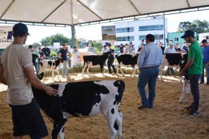 COTRIFRED participa de XI Feira do Peixe em Taquaruçu do Sul