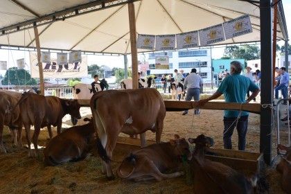 COTRIFRED participa de XI Feira do Peixe em Taquaruçu do Sul