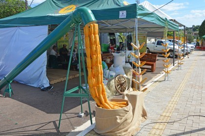 COTRIFRED participa de XI Feira do Peixe em Taquaruçu do Sul