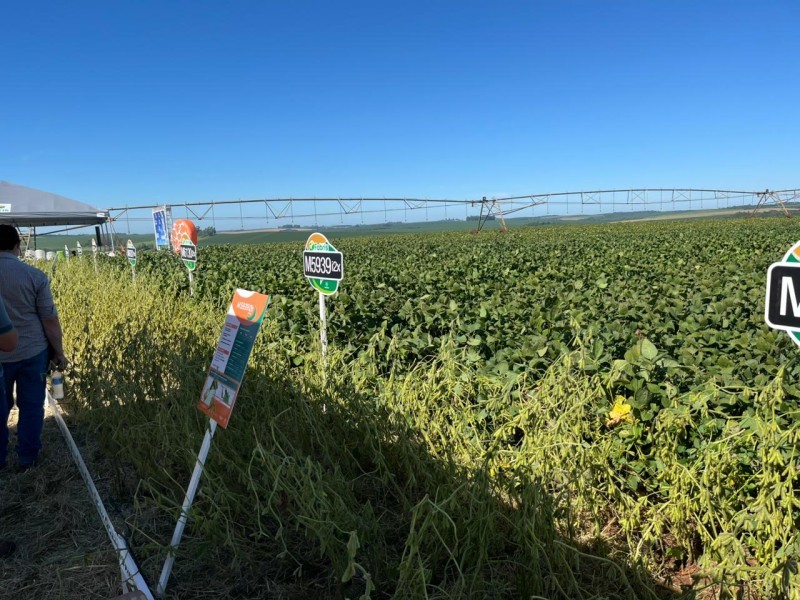 Cotrifred participa do evento “Nossa Semente, Nosso Campo”, promovido pela Sementes Fabris