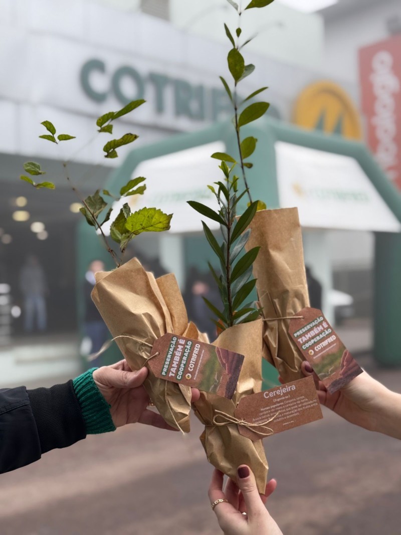 Cotrifred promove ação de doação de mudas em alusão ao Dia Mundial do Meio Ambiente