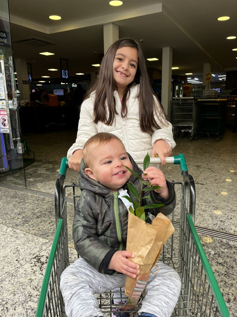 Cotrifred promove ação de doação de mudas em alusão ao Dia Mundial do Meio Ambiente