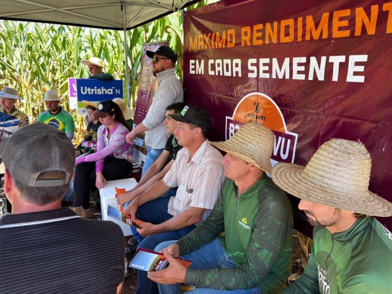 Cotrifred promove Dia de Campo de Milho em Laranjeiras