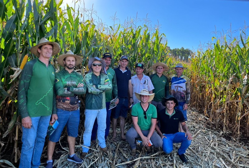 Cotrifred promove Dia de Campo de Milho em Laranjeiras