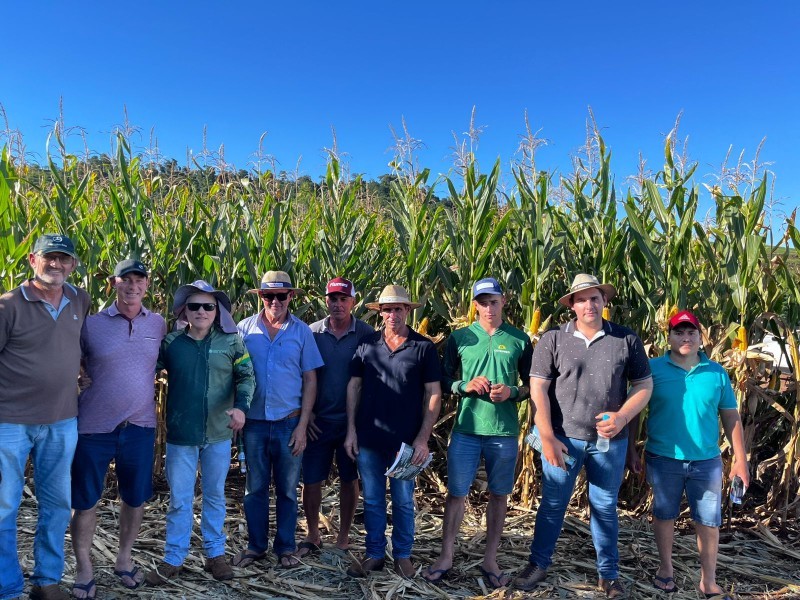 Cotrifred promove Dia de Campo de Milho em Laranjeiras