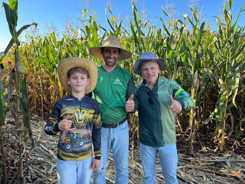 Cotrifred promove Dia de Campo de Milho em Laranjeiras