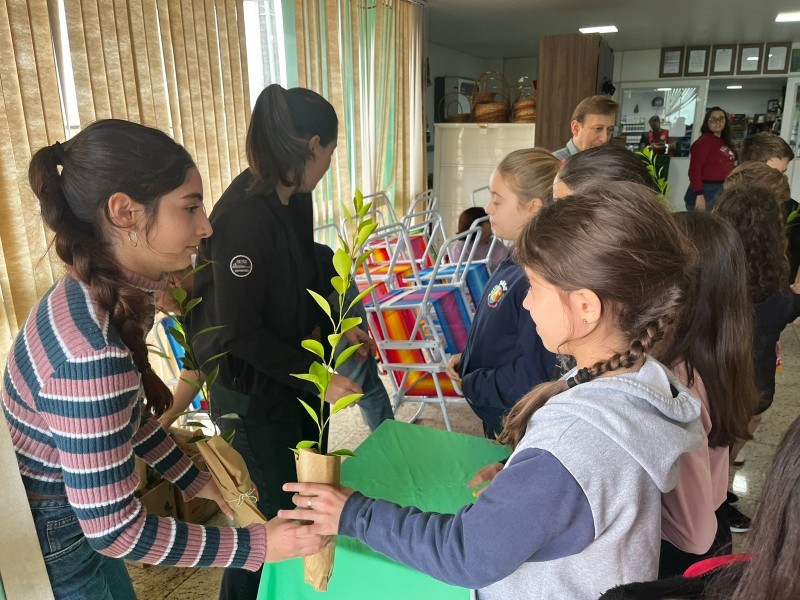 Cotrifred promove doação de mudas em Taquaruçu do Sul em celebração à Semana Mundial do Meio Ambiente