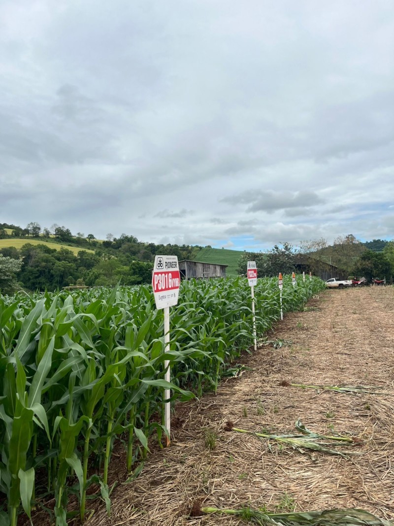 Cotrifred promove Tour Técnico na unidade de Iraí