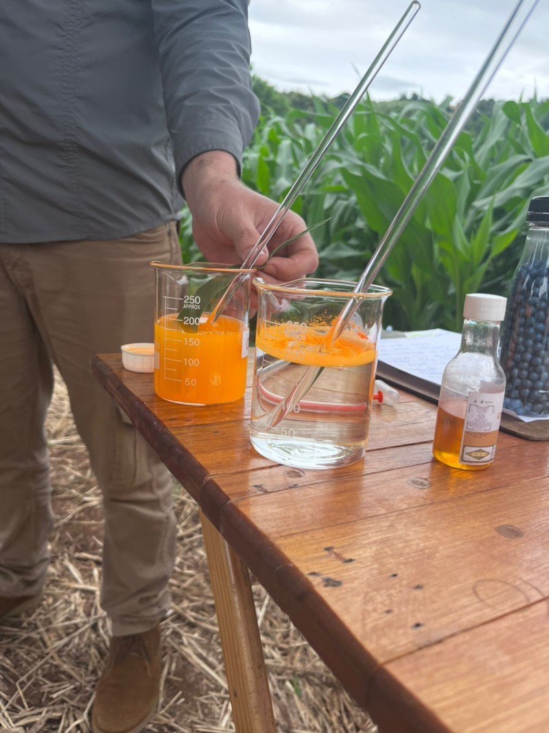 Cotrifred promove Tour Técnico na unidade de Iraí