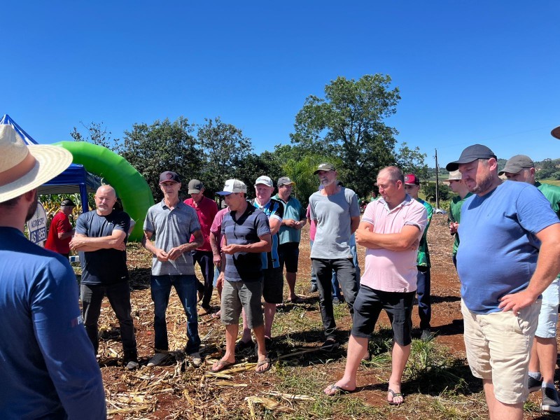 Cotrifred realiza Dia de Campo de Milho em Iraí