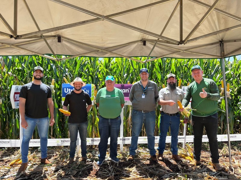Cotrifred realiza Dia de Campo de Milho em Iraí