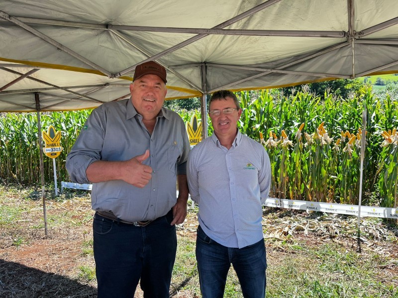 Cotrifred realiza Dia de Campo de Milho em Iraí