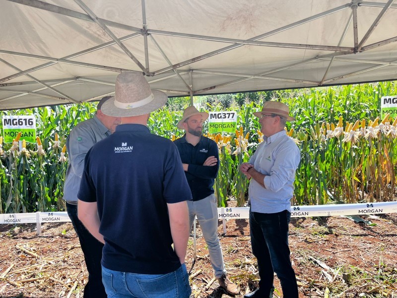 Cotrifred realiza Dia de Campo de Milho em Iraí