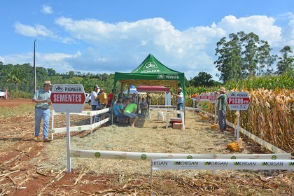 Cotrifred realiza Dia de Campo em Iraí