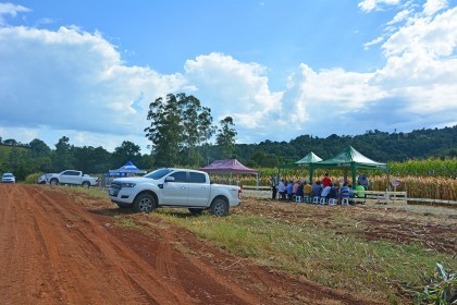 Cotrifred realiza Dia de Campo em Iraí