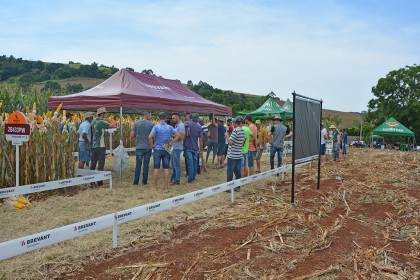Cotrifred realiza Dia de Campo em Iraí
