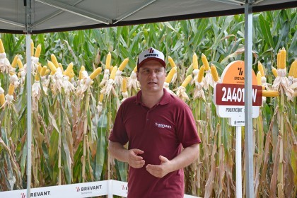 Cotrifred realiza Dia de Campo em Iraí