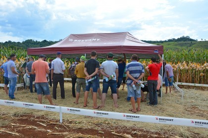 Cotrifred realiza Dia de Campo em Iraí