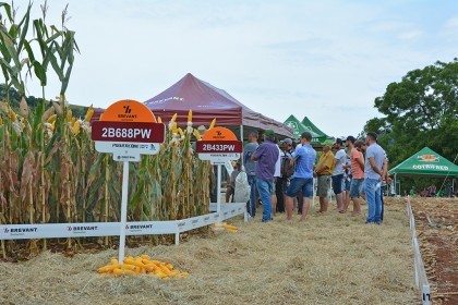 Cotrifred realiza Dia de Campo em Iraí
